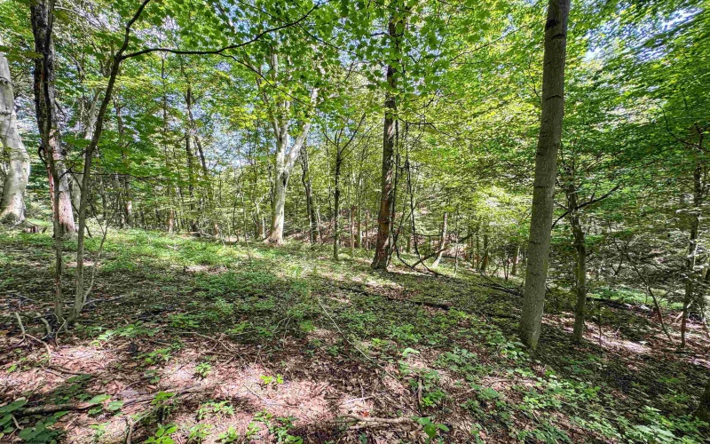 TBD Scenery Hill Road, Wellsburg, West Virginia 26070-1842, ,Lots/land,For Sale,Scenery Hill,10160838