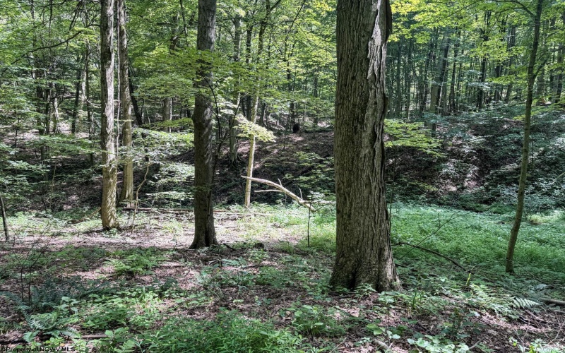 TBD Scenery Hill Road, Wellsburg, West Virginia 26070-1842, ,Lots/land,For Sale,Scenery Hill,10160838