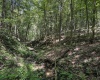 TBD Scenery Hill Road, Wellsburg, West Virginia 26070-1842, ,Lots/land,For Sale,Scenery Hill,10160838