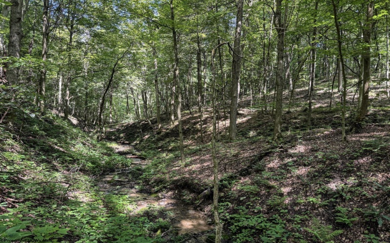 TBD Scenery Hill Road, Wellsburg, West Virginia 26070-1842, ,Lots/land,For Sale,Scenery Hill,10160838