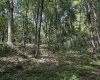 TBD Scenery Hill Road, Wellsburg, West Virginia 26070-1842, ,Lots/land,For Sale,Scenery Hill,10160838