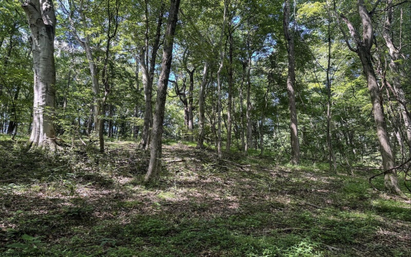 TBD Scenery Hill Road, Wellsburg, West Virginia 26070-1842, ,Lots/land,For Sale,Scenery Hill,10160838