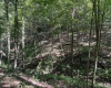 TBD Scenery Hill Road, Wellsburg, West Virginia 26070-1842, ,Lots/land,For Sale,Scenery Hill,10160838