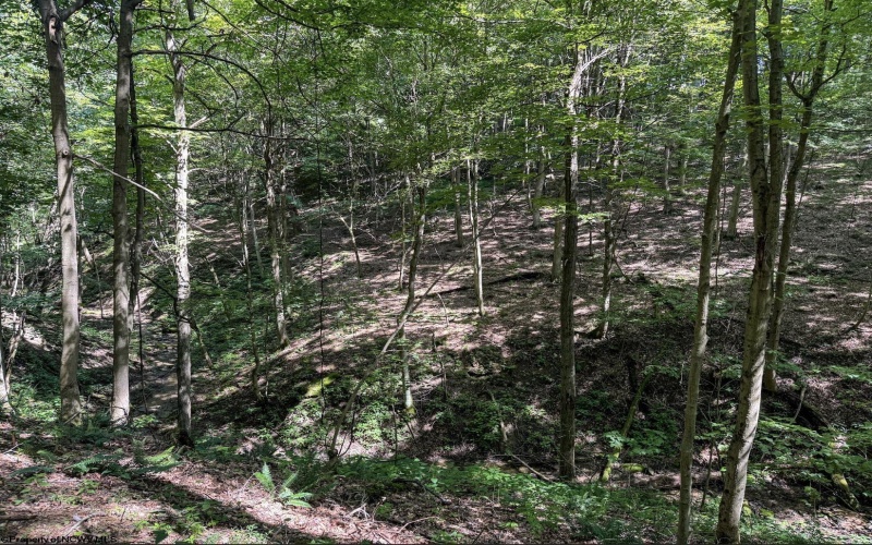 TBD Scenery Hill Road, Wellsburg, West Virginia 26070-1842, ,Lots/land,For Sale,Scenery Hill,10160838