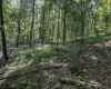 TBD Scenery Hill Road, Wellsburg, West Virginia 26070-1842, ,Lots/land,For Sale,Scenery Hill,10160838