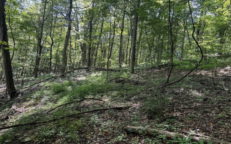 TBD Scenery Hill Road, Wellsburg, West Virginia 26070-1842, ,Lots/land,For Sale,Scenery Hill,10160838