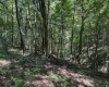 TBD Scenery Hill Road, Wellsburg, West Virginia 26070-1842, ,Lots/land,For Sale,Scenery Hill,10160838
