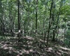 TBD Scenery Hill Road, Wellsburg, West Virginia 26070-1842, ,Lots/land,For Sale,Scenery Hill,10160838