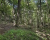 TBD Scenery Hill Road, Wellsburg, West Virginia 26070-1842, ,Lots/land,For Sale,Scenery Hill,10160838