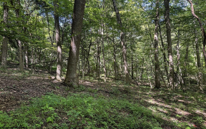 TBD Scenery Hill Road, Wellsburg, West Virginia 26070-1842, ,Lots/land,For Sale,Scenery Hill,10160838