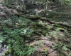 TBD Scenery Hill Road, Wellsburg, West Virginia 26070-1842, ,Lots/land,For Sale,Scenery Hill,10160838