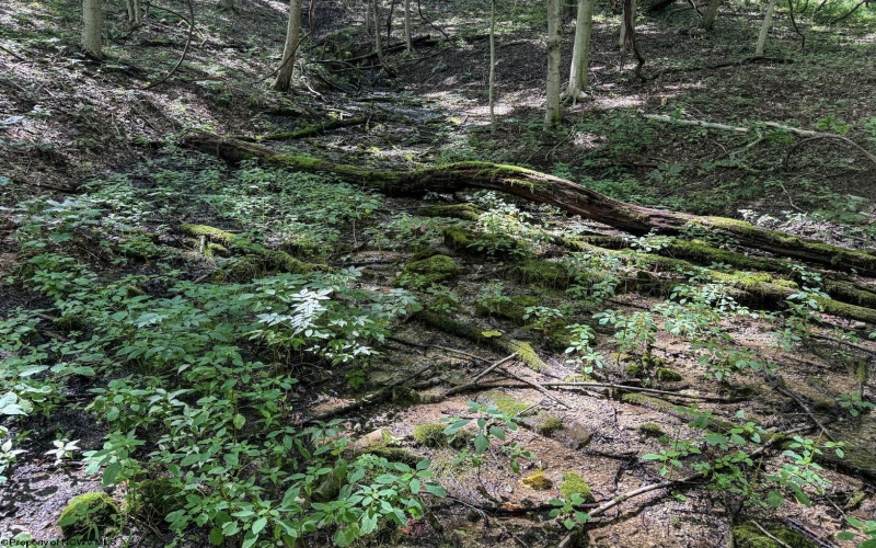 TBD Scenery Hill Road, Wellsburg, West Virginia 26070-1842, ,Lots/land,For Sale,Scenery Hill,10160838