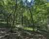 TBD Scenery Hill Road, Wellsburg, West Virginia 26070-1842, ,Lots/land,For Sale,Scenery Hill,10160838