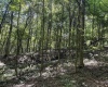 TBD Scenery Hill Road, Wellsburg, West Virginia 26070-1842, ,Lots/land,For Sale,Scenery Hill,10160838