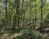 TBD Scenery Hill Road, Wellsburg, West Virginia 26070-1842, ,Lots/land,For Sale,Scenery Hill,10160838