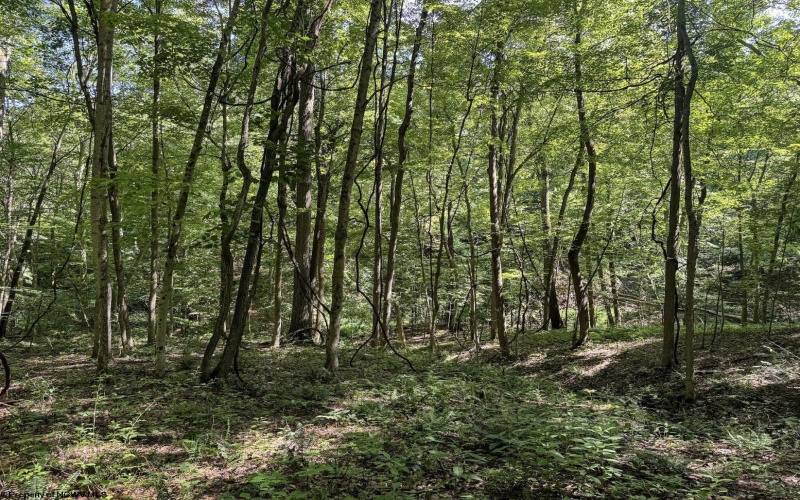 TBD Scenery Hill Road, Wellsburg, West Virginia 26070-1842, ,Lots/land,For Sale,Scenery Hill,10160838