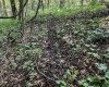 TBD Scenery Hill Road, Wellsburg, West Virginia 26070-1842, ,Lots/land,For Sale,Scenery Hill,10160838