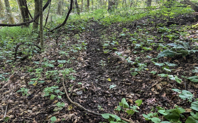 TBD Scenery Hill Road, Wellsburg, West Virginia 26070-1842, ,Lots/land,For Sale,Scenery Hill,10160838
