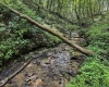 TBD Scenery Hill Road, Wellsburg, West Virginia 26070-1842, ,Lots/land,For Sale,Scenery Hill,10160838
