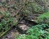 TBD Scenery Hill Road, Wellsburg, West Virginia 26070-1842, ,Lots/land,For Sale,Scenery Hill,10160838