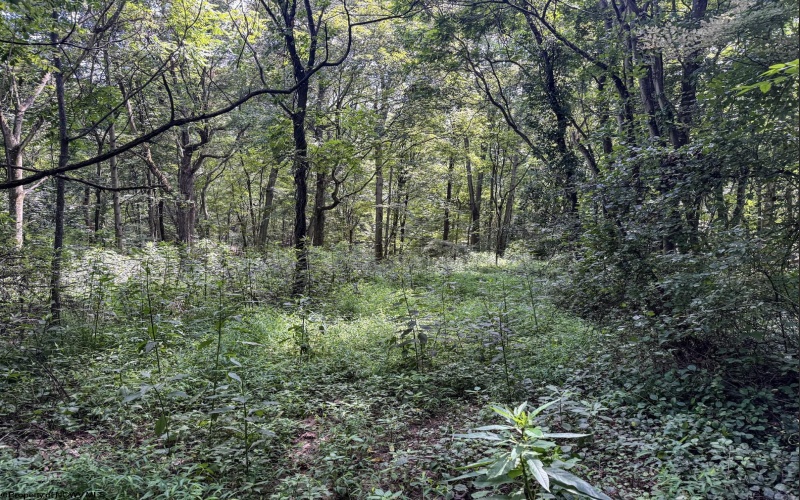 TBD Scenery Hill Road, Wellsburg, West Virginia 26070-1842, ,Lots/land,For Sale,Scenery Hill,10160838
