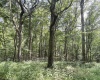 TBD Scenery Hill Road, Wellsburg, West Virginia 26070-1842, ,Lots/land,For Sale,Scenery Hill,10160838