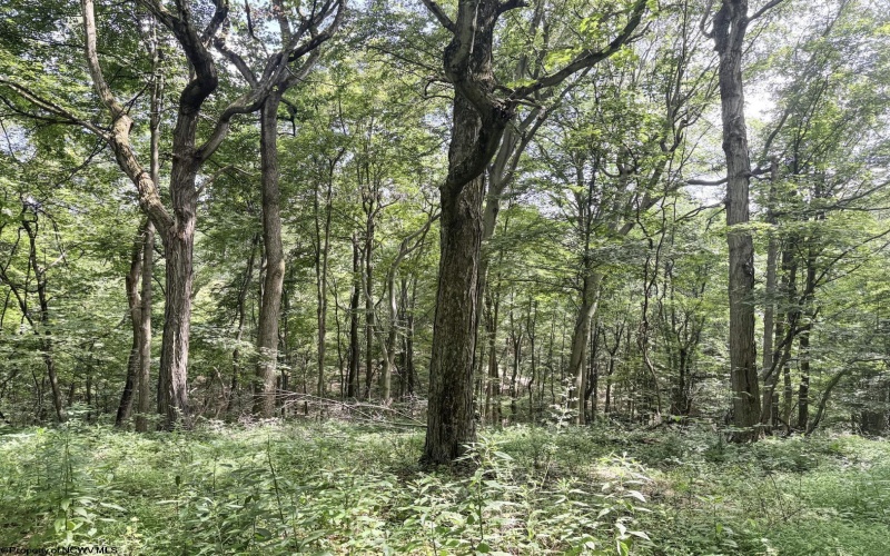 TBD Scenery Hill Road, Wellsburg, West Virginia 26070-1842, ,Lots/land,For Sale,Scenery Hill,10160838