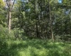 TBD Scenery Hill Road, Wellsburg, West Virginia 26070-1842, ,Lots/land,For Sale,Scenery Hill,10160838