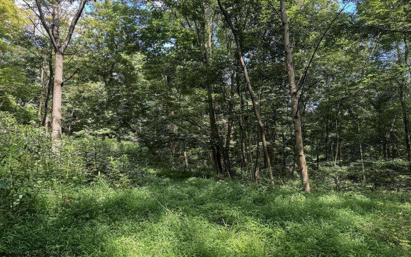 TBD Scenery Hill Road, Wellsburg, West Virginia 26070-1842, ,Lots/land,For Sale,Scenery Hill,10160838