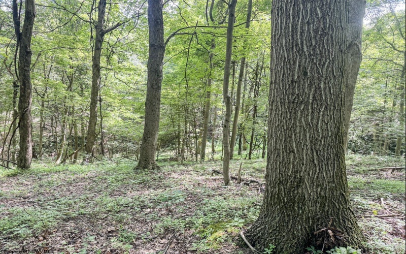 TBD Scenery Hill Road, Wellsburg, West Virginia 26070-1842, ,Lots/land,For Sale,Scenery Hill,10160838