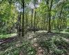 TBD Scenery Hill Road, Wellsburg, West Virginia 26070-1842, ,Lots/land,For Sale,Scenery Hill,10160838