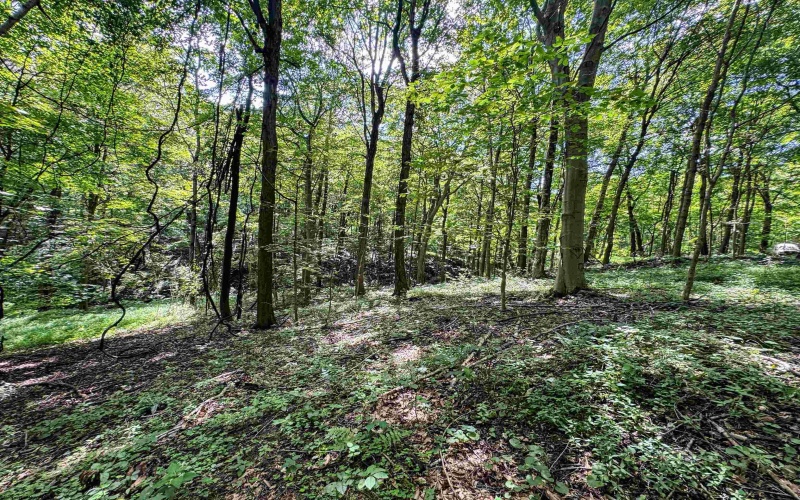 TBD Scenery Hill Road, Wellsburg, West Virginia 26070-1842, ,Lots/land,For Sale,Scenery Hill,10160838
