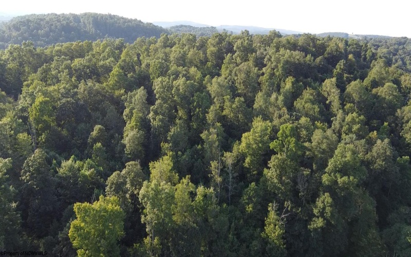 Lot 144 Spring Trail, Bruceton Mills, West Virginia 26525, ,Lots/land,For Sale,Spring,10160857