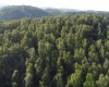 Lot 144 Spring Trail, Bruceton Mills, West Virginia 26525, ,Lots/land,For Sale,Spring,10160857