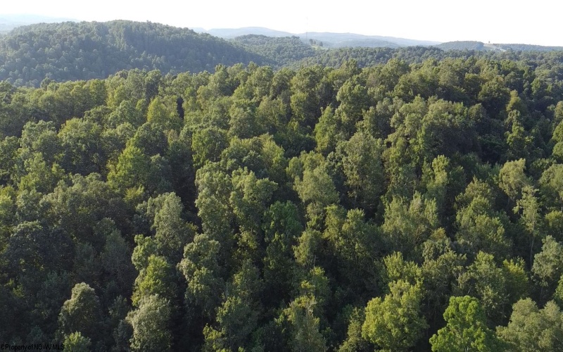 Lot 144 Spring Trail, Bruceton Mills, West Virginia 26525, ,Lots/land,For Sale,Spring,10160857