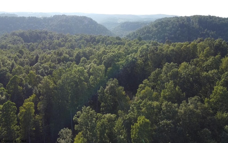 Lot 144 Spring Trail, Bruceton Mills, West Virginia 26525, ,Lots/land,For Sale,Spring,10160857