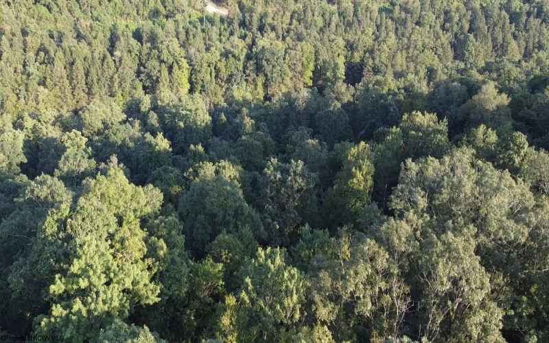 Lot 144 Spring Trail, Bruceton Mills, West Virginia 26525, ,Lots/land,For Sale,Spring,10160857