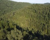 Lot 144 Spring Trail, Bruceton Mills, West Virginia 26525, ,Lots/land,For Sale,Spring,10160857