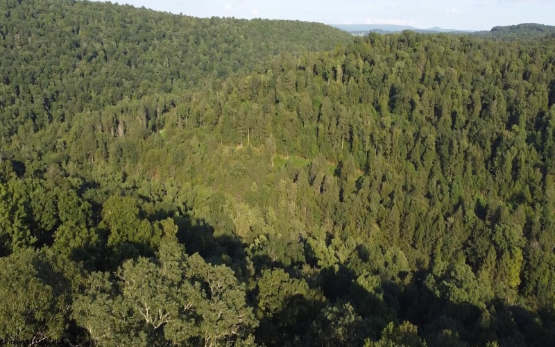 Lot 144 Spring Trail, Bruceton Mills, West Virginia 26525, ,Lots/land,For Sale,Spring,10160857