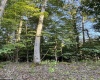 Lot 144 Spring Trail, Bruceton Mills, West Virginia 26525, ,Lots/land,For Sale,Spring,10160857