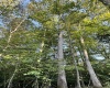 Lot 144 Spring Trail, Bruceton Mills, West Virginia 26525, ,Lots/land,For Sale,Spring,10160857