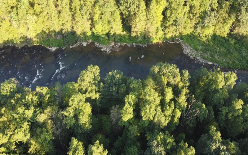 Lot 144 Spring Trail, Bruceton Mills, West Virginia 26525, ,Lots/land,For Sale,Spring,10160857