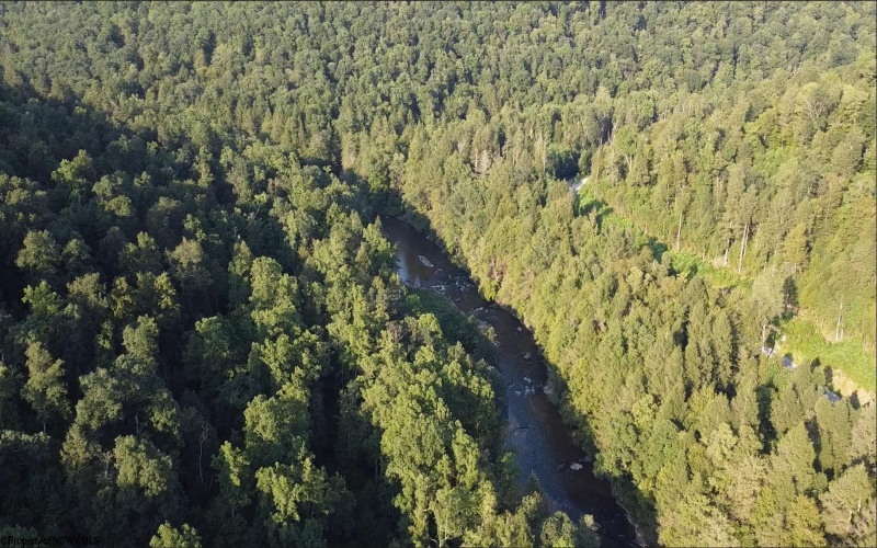Lot 144 Spring Trail, Bruceton Mills, West Virginia 26525, ,Lots/land,For Sale,Spring,10160857