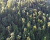 Lot 144 Spring Trail, Bruceton Mills, West Virginia 26525, ,Lots/land,For Sale,Spring,10160857