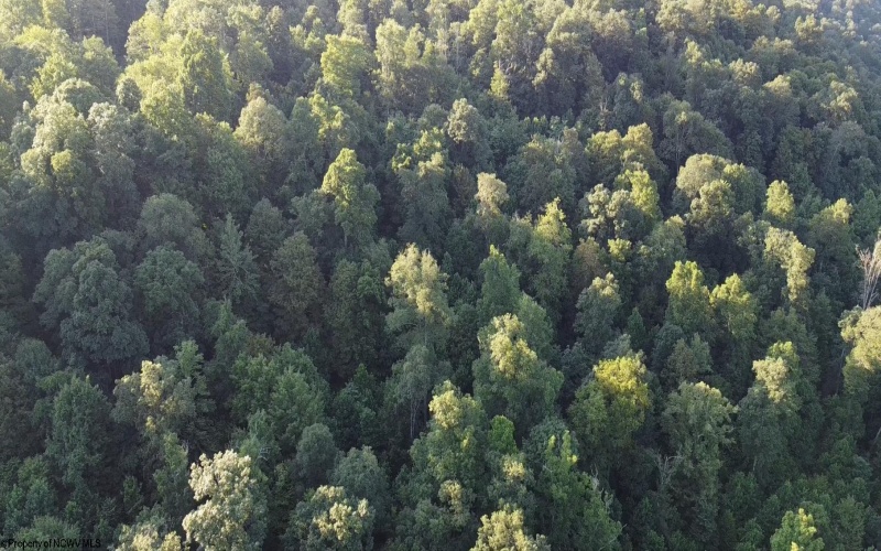 Lot 144 Spring Trail, Bruceton Mills, West Virginia 26525, ,Lots/land,For Sale,Spring,10160857