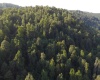 Lot 144 Spring Trail, Bruceton Mills, West Virginia 26525, ,Lots/land,For Sale,Spring,10160857