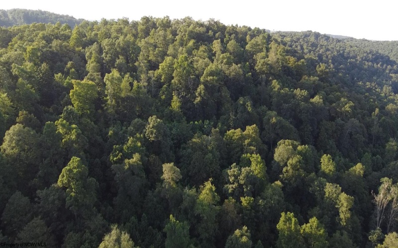 Lot 144 Spring Trail, Bruceton Mills, West Virginia 26525, ,Lots/land,For Sale,Spring,10160857