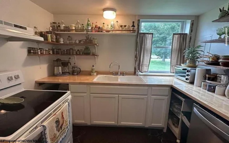 814 Curry Lane, Marlinton, West Virginia 24954, ,Multi-unit/income,For Sale,Curry,10160876