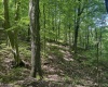 TBD Rush Run Road, Fairview, West Virginia 26570, ,Lots/land,For Sale,Rush Run,10160864