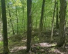 TBD Rush Run Road, Fairview, West Virginia 26570, ,Lots/land,For Sale,Rush Run,10160864